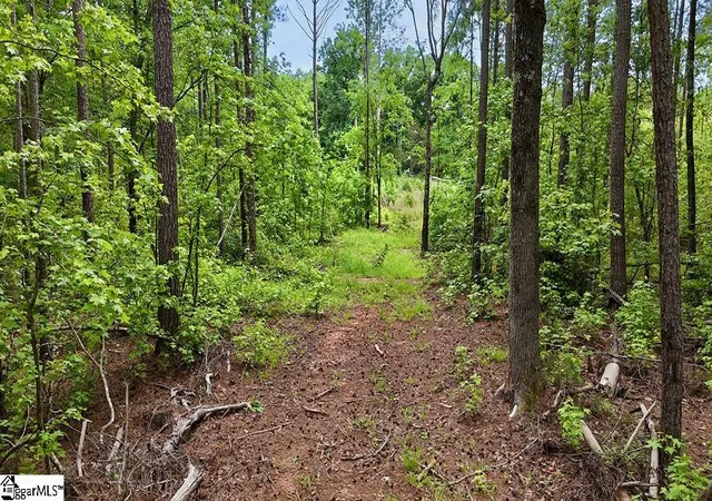 7th image of 00 Todd Quarter Rd, Waterloo, SC 29384 | MLS# 1591381