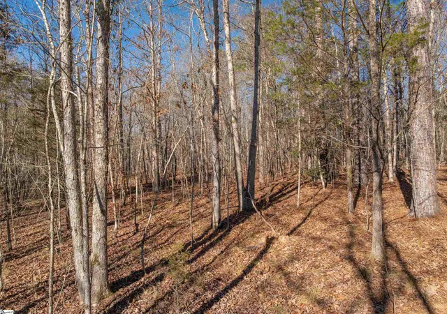 43rd image of 010 Mill Pine Rd, Liberty, SC 29657 | MLS# 1577657