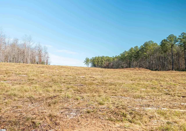 5th image of 010 Mill Pine Rd, Liberty, SC 29657 | MLS# 1577657