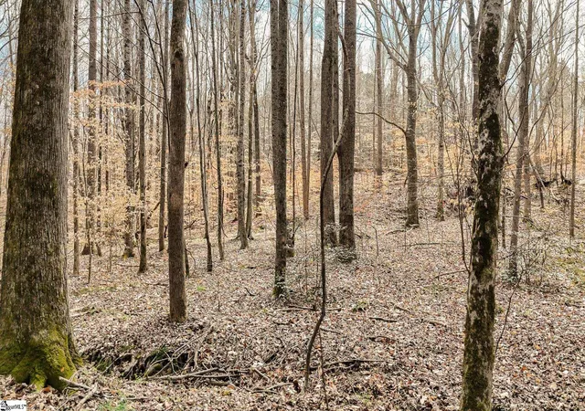 26th image of 00 Lake Rd, Clinton, SC 29325 | MLS# 1584953