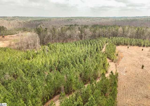 3rd image of 00 Lake Rd, Clinton, SC 29325 | MLS# 1584953