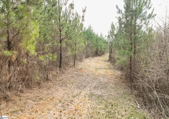 4th image of 00 Lake Rd, Clinton, SC 29325 | MLS# 1584953