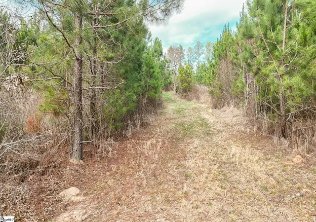5th image of 00 Lake Rd, Clinton, SC 29325 | MLS# 1584953