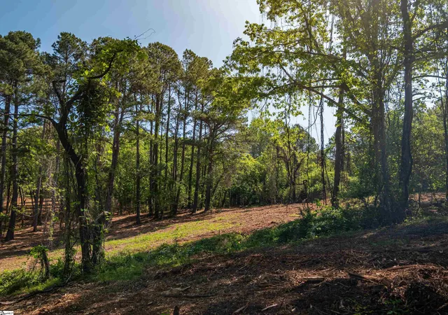 36th image of 09 Moorefield Memorial Hwy, Liberty, SC 29657 | MLS# 1557593