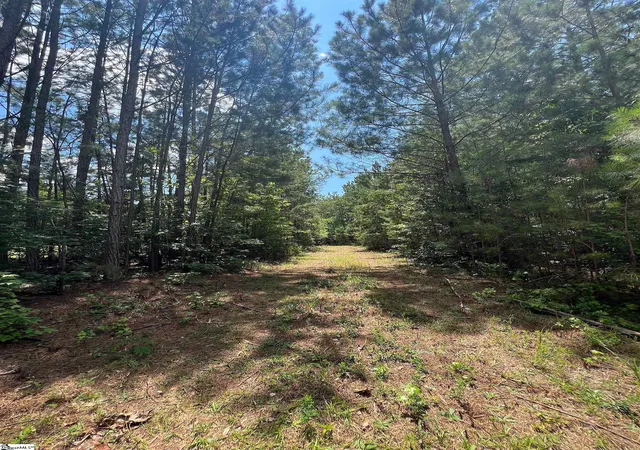 2nd image of 00 Woodbluff Rd, Laurens, SC 29360 | MLS# 1561944