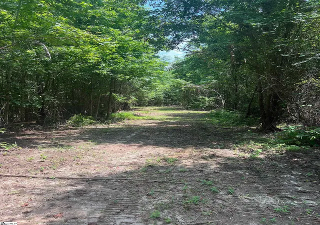 4th image of 00 Woodbluff Rd, Laurens, SC 29360 | MLS# 1561944