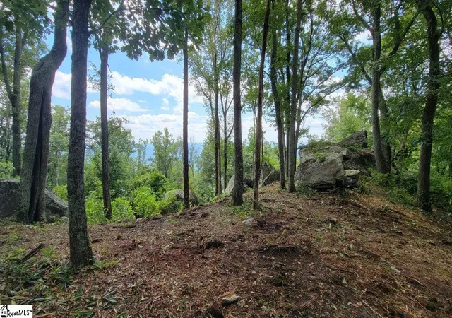 1st image of 12 Drift Away Ln, Landrum, SC 29356 | MLS# 1496458