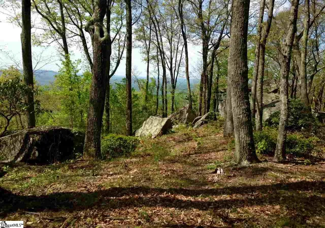 3rd image of 12 Drift Away Ln, Landrum, SC 29356 | MLS# 1496458