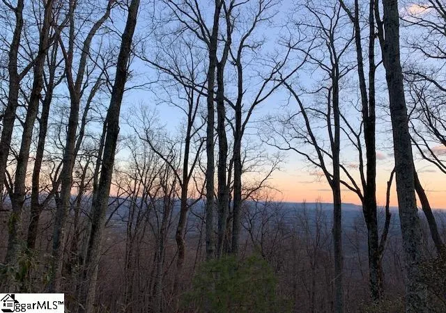 4th image of 12 Drift Away Ln, Landrum, SC 29356 | MLS# 1496458