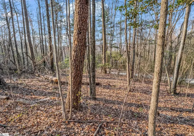 Photo 4 of Land for sale at Tbd Mountain Lakes Dr, Tryon, NC 28782 | MLS# 1586637 | Listing updated on 2026-04-16