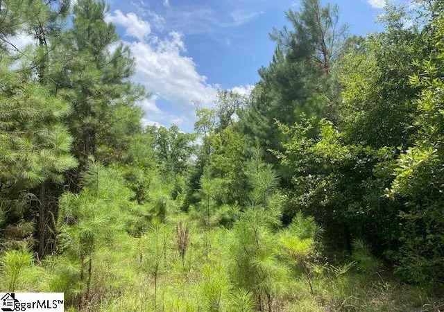 Photo 1 of Land for sale at 00 Vanboklen Rd, Eastover, SC 29044 | MLS# 1599933 | Listing updated on 2026-08-09