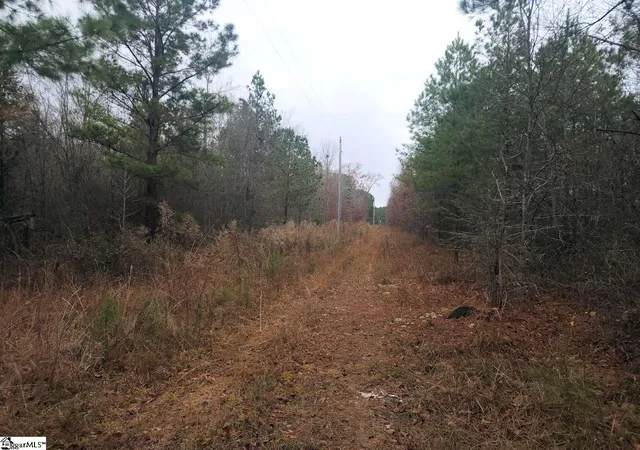 Photo 3 of Land for sale at Scott Ln, Pelzer, SC 29669 | MLS# 1576624 | Listing updated on 2026-06-30