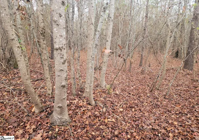 Photo 3 of House for sale at Scott Ln, Pelzer, SC 29669 | MLS# 1576624 | Listing updated on 2026-06-30