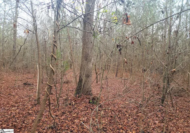 Photo 4 of House for sale at Scott Ln, Pelzer, SC 29669 | MLS# 1576624 | Listing updated on 2026-06-30