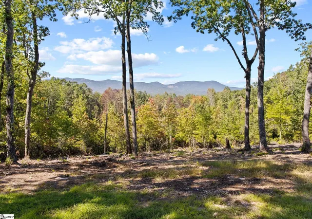 Photo 3 of Single family home for sale at 4518 Hawkins Rd, Greer, SC 29651 | MLS# 1569958 | Listing updated on 2026-09-11