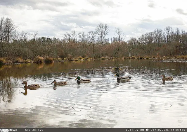 Photo 3 of Land for sale at 1332 Arnold Ln, Waterloo, SC 29384 | MLS# 1597067 | Listing updated on 2026-08-05