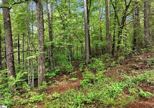 Homes for sale in Pickens, SC | 231 Cherokee Hills Dr, Pickens, SC 29671 | MLS# 1595937