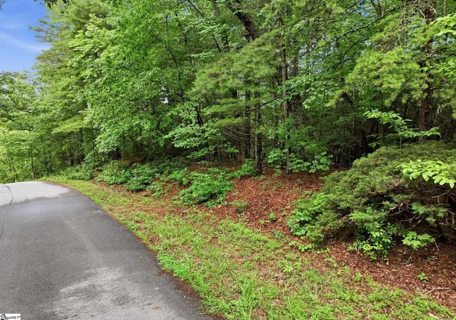 Homes for sale in Pickens, SC | 231 Cherokee Hills Dr, Pickens, SC 29671 | MLS# 1595937