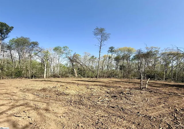 36th image of 0 Thompson Rd #Lot 2, Greer, SC 29651 | MLS# 1577693