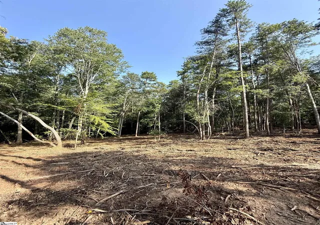 4th image of 0 Thompson Rd #Lot 2, Greer, SC 29651 | MLS# 1577693