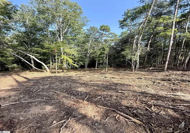 5th image of 0 Thompson Rd #Lot 2, Greer, SC 29651 | MLS# 1577693