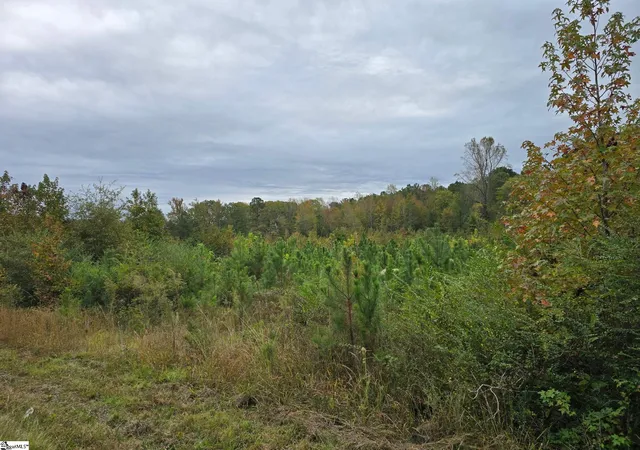 Photo 2 of Sale Pending at 0 E Hwy 378, Mc Cormick, SC 29835 | MLS# 1575184 | Listing updated on 2026-08-21