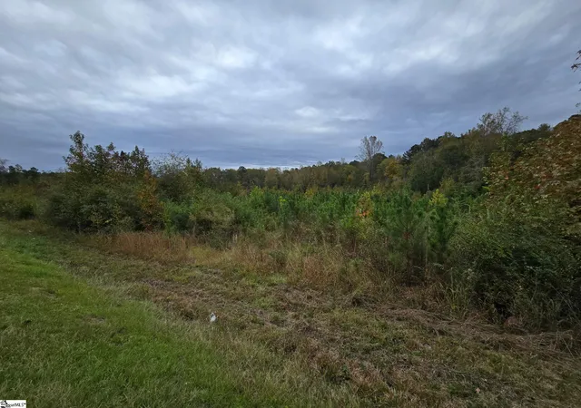 Photo 3 of Sale Pending at 0 E Hwy 378, Mc Cormick, SC 29835 | MLS# 1575184 | Listing updated on 2026-08-21
