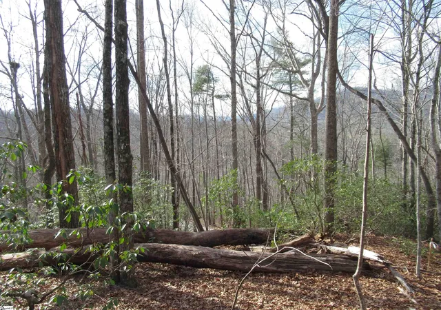 Photo 3 of Land for sale at Belvoir Dr #Lots 31 and 32, Pickens, SC 29671 | MLS# 1584052 | Listing updated on 2026-03-10