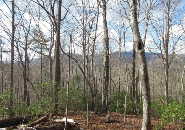 Photo 3 of Land for sale at Belvoir Dr #Lots 31 and 32, Pickens, SC 29671 | MLS# 1584052 | Listing updated on 2026-03-10