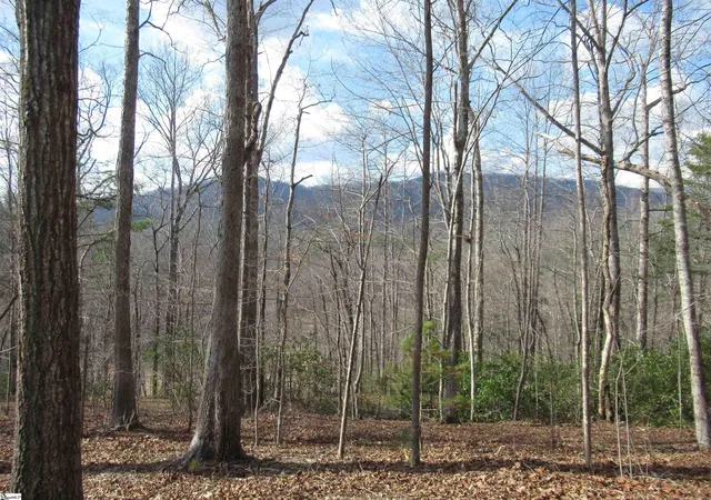 Photo 4 of Land for sale at Belvoir Dr #Lots 31 and 32, Pickens, SC 29671 | MLS# 1584052 | Listing updated on 2026-03-10