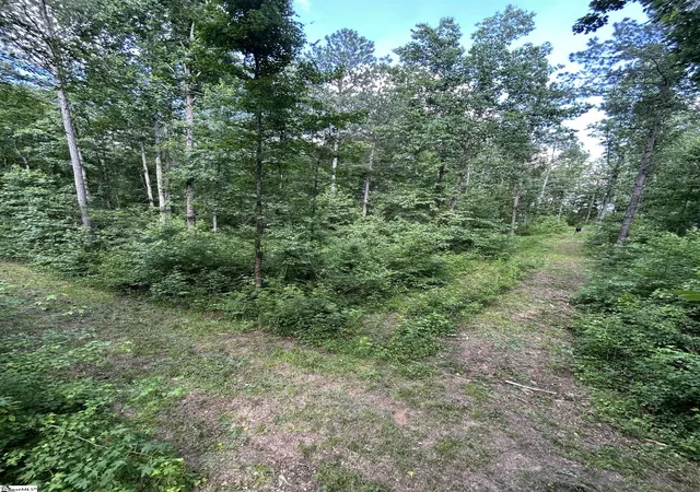 Photo 16 of Land for sale at 2318 Beaver Dam Creek Rd, Newberry, SC 29108 | MLS# 1596291 | Listing updated on 2026-07-01