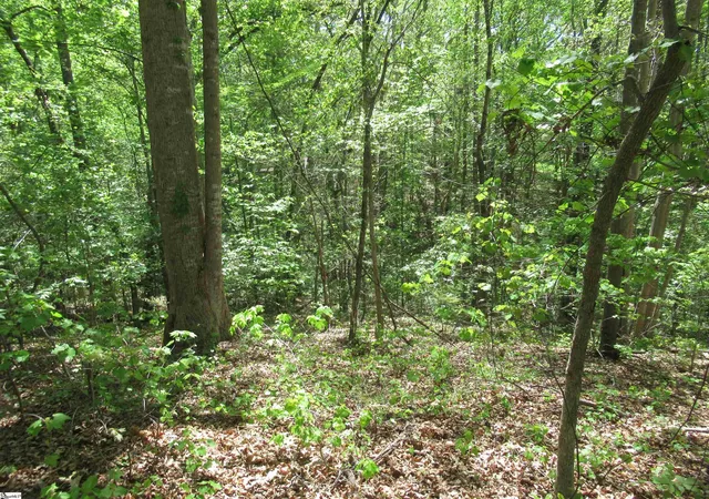 Homes for sale in Fair Play, SC | 00 Bay Dr #Lot 30 Bay Drive, Fair Play, SC 29643 | MLS# 1587647