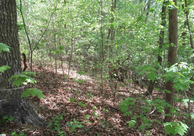 Homes for sale in Fair Play, SC | 00 Bay Dr #Lot 30 Bay Drive, Fair Play, SC 29643 | MLS# 1587647