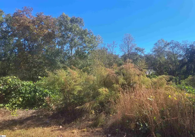 Photo 3 of Land for sale at 64 Juneau Ct, Greenville, SC 29605 | MLS# 1572891 | Listing updated on 2026-09-10