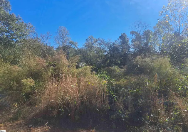 Photo 4 of Land for sale at 64 Juneau Ct, Greenville, SC 29605 | MLS# 1572891 | Listing updated on 2026-09-10