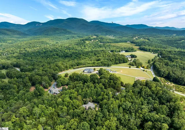 46th image of 4 Landy Ln, Landrum, SC 29356 | MLS# 1597233