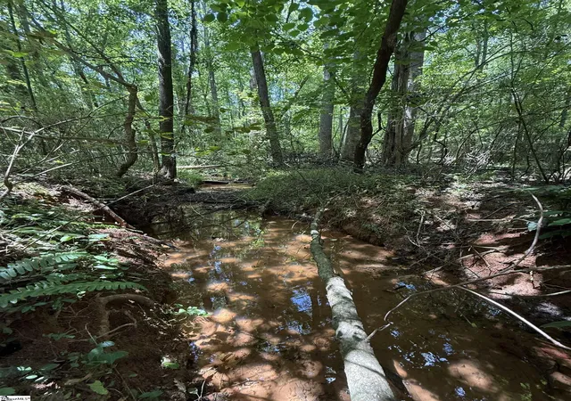 Photo 3 of Land for sale at 45 Emily Ln, Piedmont, SC 29673 | MLS# 1601393 | Listing updated on 2026-09-14