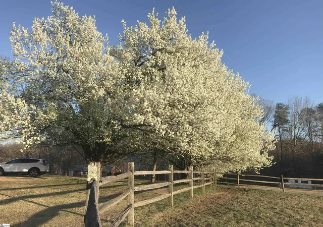 5th image of 315, 317, 319 Gibson Rd, Landrum, SC 29356 | MLS# 1562696