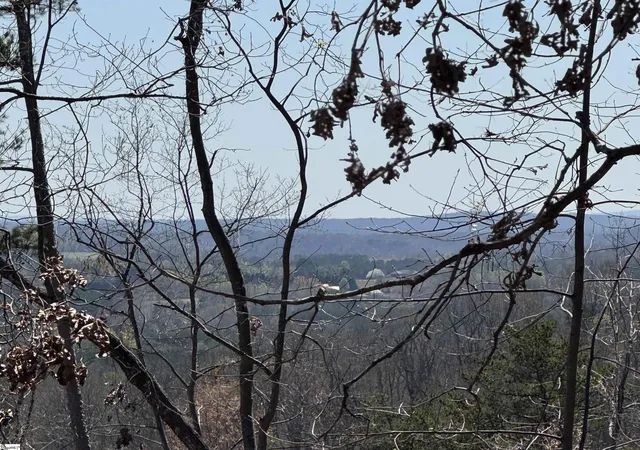 1st image of 00 Goforth Rd, Landrum, SC 29356 | MLS# 1552006
