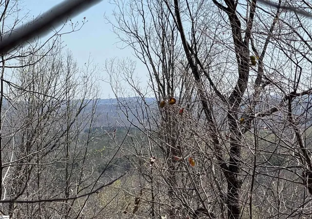 2nd image of 00 Goforth Rd, Landrum, SC 29356 | MLS# 1552006