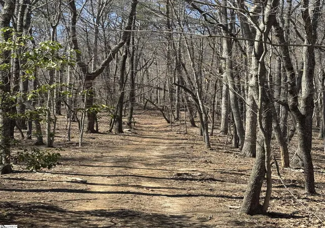 4th image of 00 Goforth Rd, Landrum, SC 29356 | MLS# 1552006