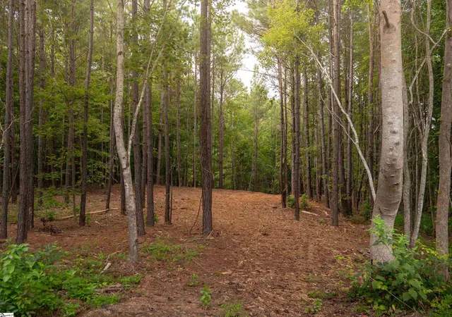 19th image of 02 Neal Shoals Rd, Union, SC 29379 | MLS# 1599917