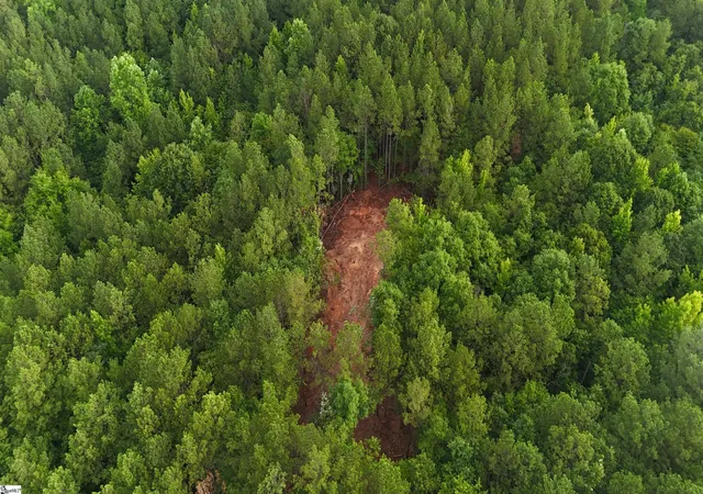 2nd image of 02 Neal Shoals Rd, Union, SC 29379 | MLS# 1599917