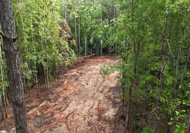 Photo 3 of Land for sale at 02 Neal Shoals Rd, Union, SC 29379 | MLS# 1599917 | Listing updated on 2026-08-06