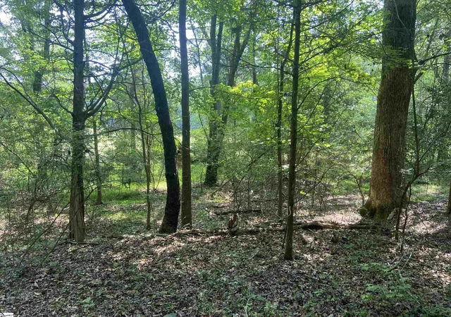 Photo 2 of Land for sale at Terry Shop Rd, Fountain Inn, SC 29644 | MLS# 1580226 | Listing updated on 2026-07-13