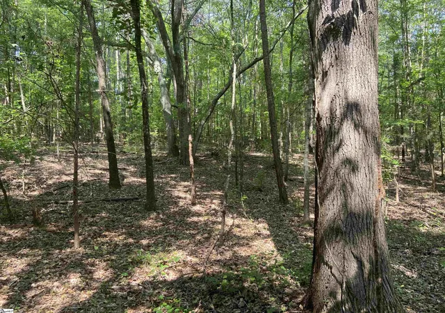 Photo 3 of Land for sale at Terry Shop Rd, Fountain Inn, SC 29644 | MLS# 1580226 | Listing updated on 2026-07-13