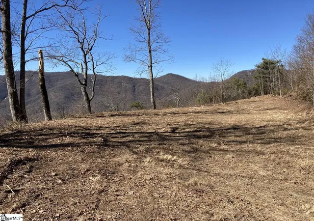 Photo 3 of Land for sale at 1506 Panther Park Trl, Travelers Rest, SC 29690 | MLS# 1290659 | Listing updated on 2026-02-03
