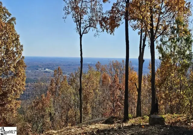 1st image of 225 Lost Trail Dr, Landrum, SC 29356 | MLS# 1578382