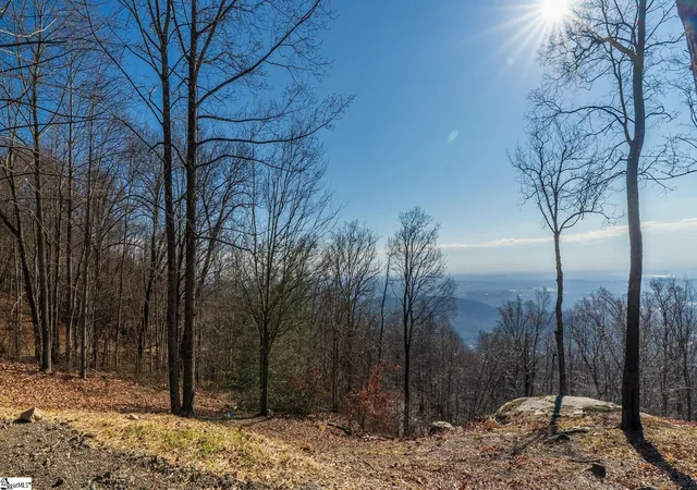 5th image of 225 Lost Trail Dr, Landrum, SC 29356 | MLS# 1578382