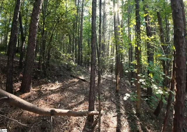 Photo 4 of Land for sale at 280 Sparks Ln, Pickens, SC 29671 | MLS# 1592432 | Listing updated on 2026-09-07